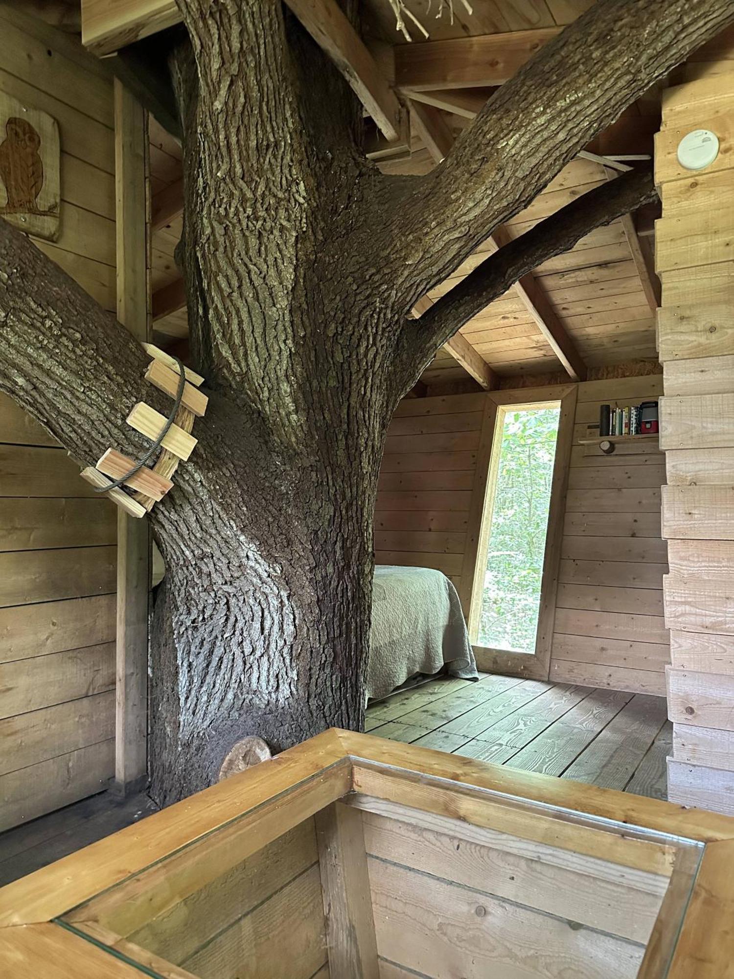 Les Ecolodges De L'Orbiere Forcé Exterior foto